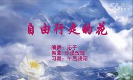 午后骄阳