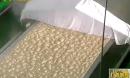 广西年底形成年产10万吨糙米米粉的生产规模   广西新闻