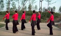 动动广场舞舞曲大全 广场舞我的好姑娘 美久广