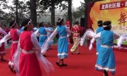 好奇熊 北青社区报宋 - 乐搜