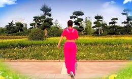 (大名广场舞)河北七彩之光舞蹈队 小苹果(附分