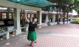 我心飞翔广场舞的视频空间_我心飞翔广场舞的