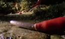 奇趣搞笑视频加里曼丹岛巨型红色水蛭吞噬蚯蚓